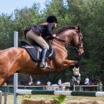 A brown horse jumping over an obstacle, showcasing the skill of talented equestrians.